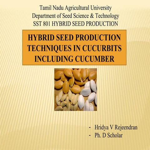 cucurbits seed production