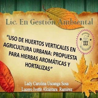 15.  Uso de huertos verticales...