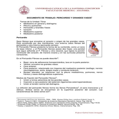 15. documento pericardio y grandes vasos
