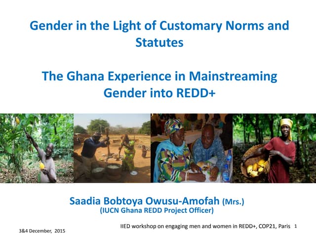 Gender in the light of customary norms and statutes : the Ghana experience in mainstreaming gender into REDD+