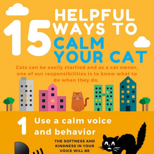 15 Helpful Ways to Calm Your Cat | Mission: Cats | PDF