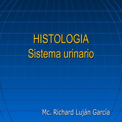 15   Histologia Del Sist  Urinario