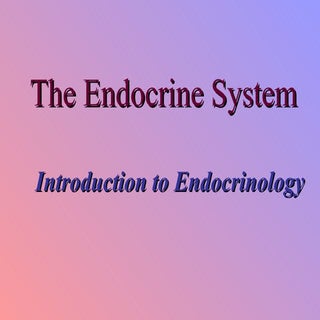 15. introduction to endocrinology