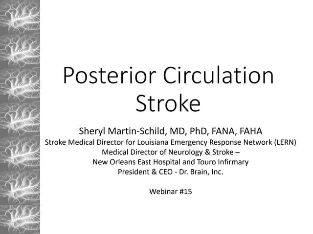 Basic Anatomy & Pathophysiology of ischemic stroke | PPT