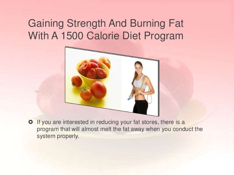 1500 calorie diet programs