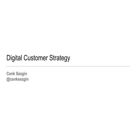 Digital Customer Strategy & Big Data