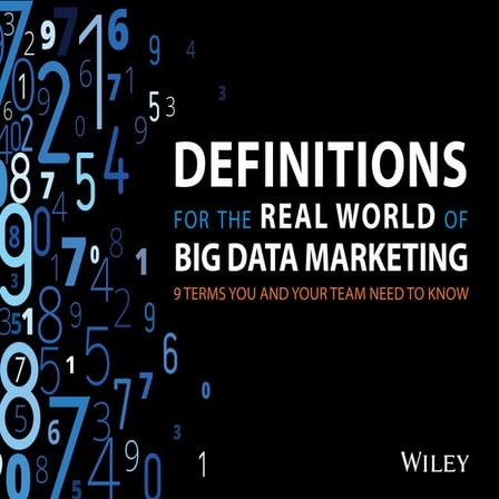 Definitions for Real World of Big Data Marketing