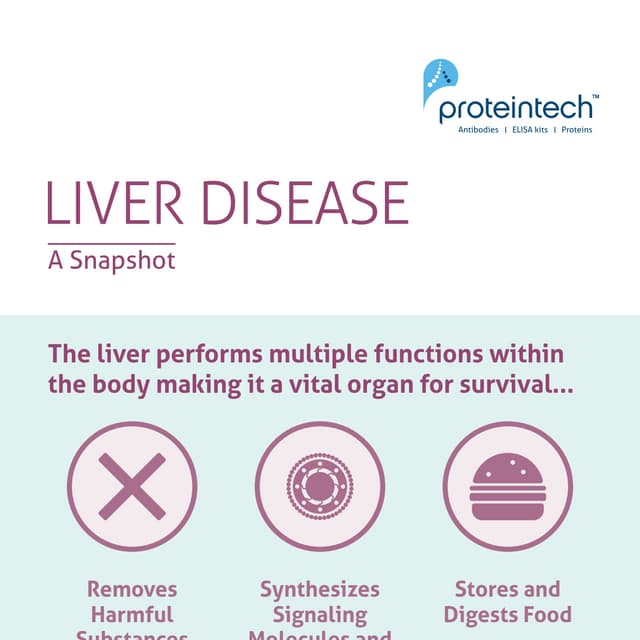 Liver Disease - A Snapshot