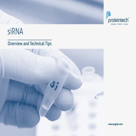 siRNA - Overview and Technical Tips