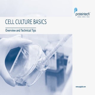 Cell Culture Basics Slideshow 