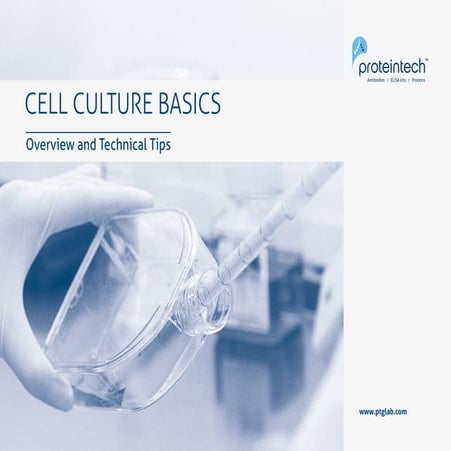 Cell Culture Basics Slideshow 
