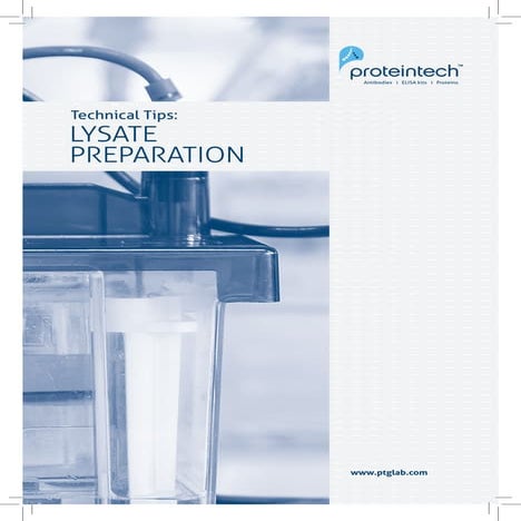 Lysate Preparation Technical Tips