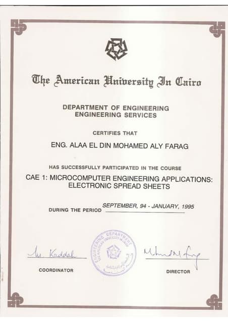 Alaa Farag CV arabic 48 | PDF