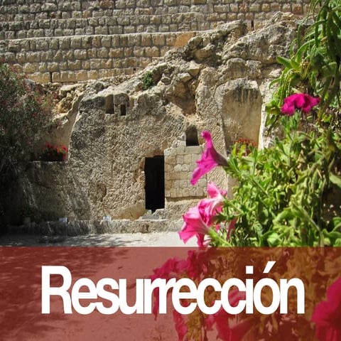 Resurreccion - Hugo Almanza