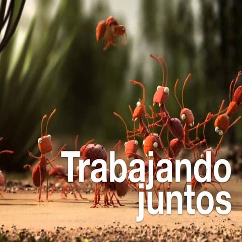 Trabajando juntos - Hugo Almanza