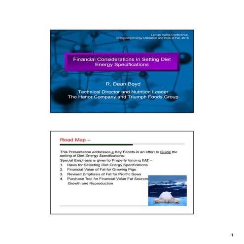 Dr. Dean Boyd - Financial Considerations In Setting Diet Energy Specifications