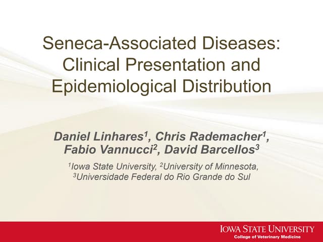 Dr. Daniel Linhares - Seneca-Associ...