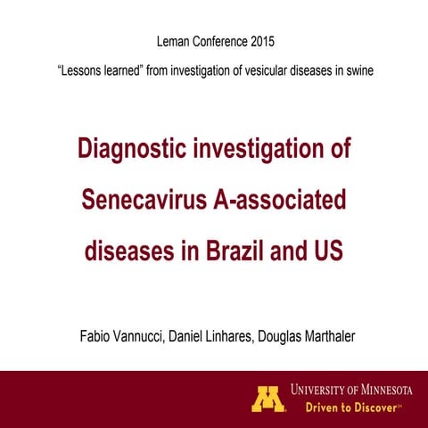 Dr. Fabio Vannucci - Seneca-Associated Diseases, Rapid Response And Diagnosis...