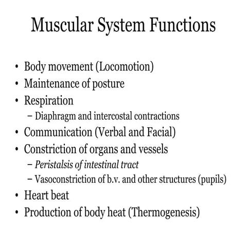 Skeletal muscle structure & function | PPTX