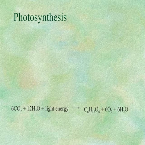 Photoshynthesis chapter 9 