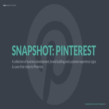 Snapshot: Pinterest