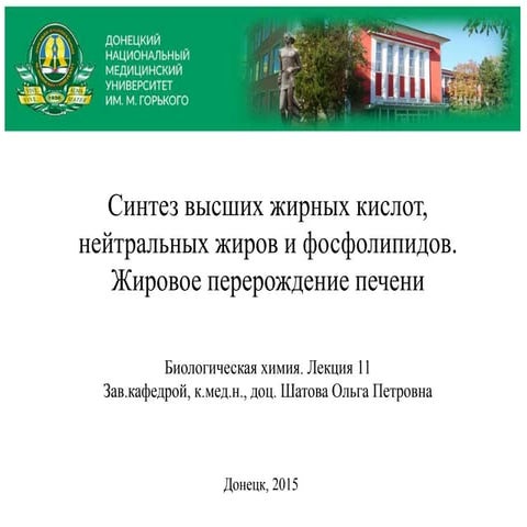 Синтез липидов