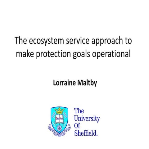 The ecosystem service approach to make protection goals operational