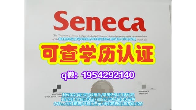 一比一原版(SCSU毕业证书)南卡罗莱纳州立大学毕业证如何办理学历认证范本