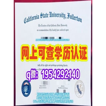 University College London Diploma