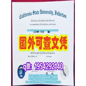 University College Dublin Diploma