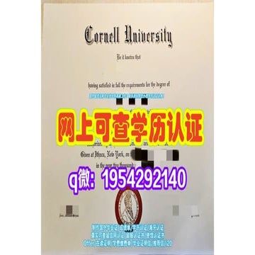 The University of Derby Diploma