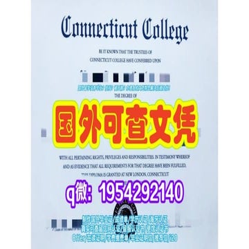 State University of New York Purchase College Diploma