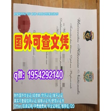 Aix-Marseille Université Diploma