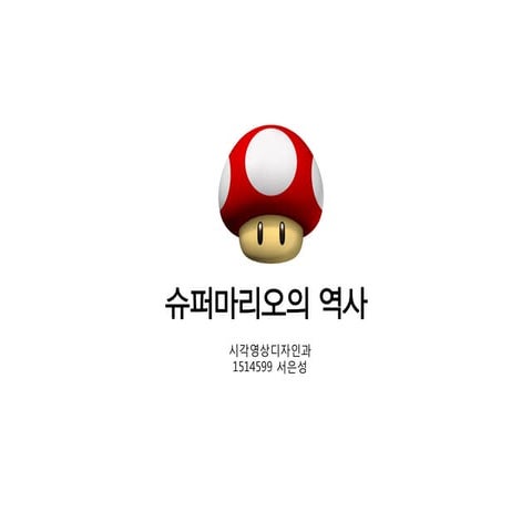 1514599 서은성 디자인과문화 피피티제출
