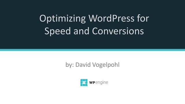 WordPress Management & Marketing Tools