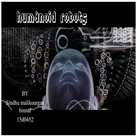  humanoid robot in current introduction