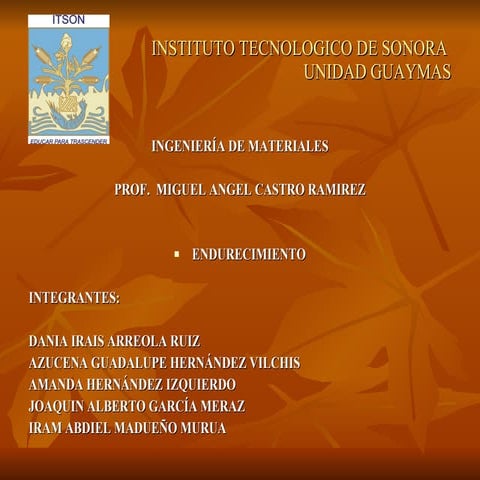 15235451 Endurecimiento 2