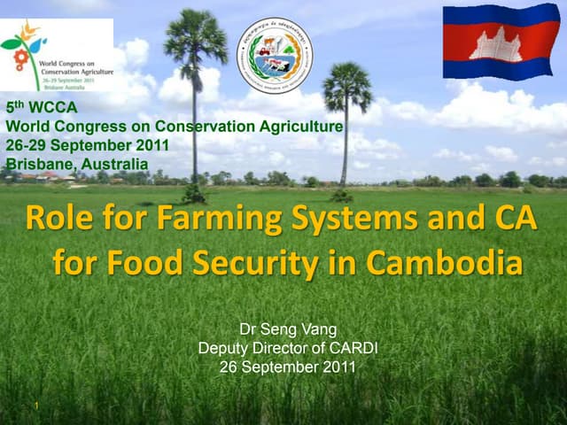 Role for farming systems and CA for food security in Cambodia. Vang