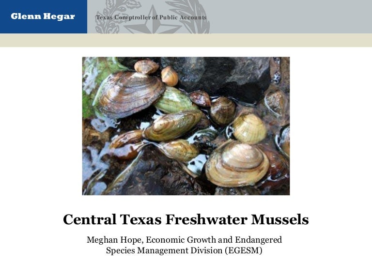 Central Texas Freshwater Mussels Research Program, Meghan E. Hope