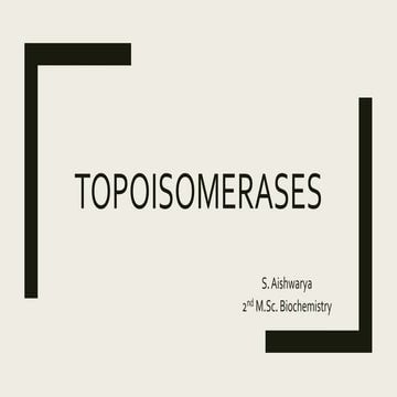 Topoisomerase 