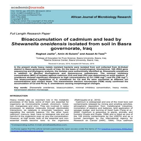 Bioaccumulation of Shewanella oneidensis