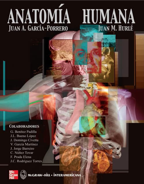 154017468-Anatomia-Humana-Garcia-Porrero-pdf.pdf