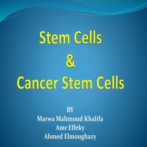  stem cells and cancer stem cells