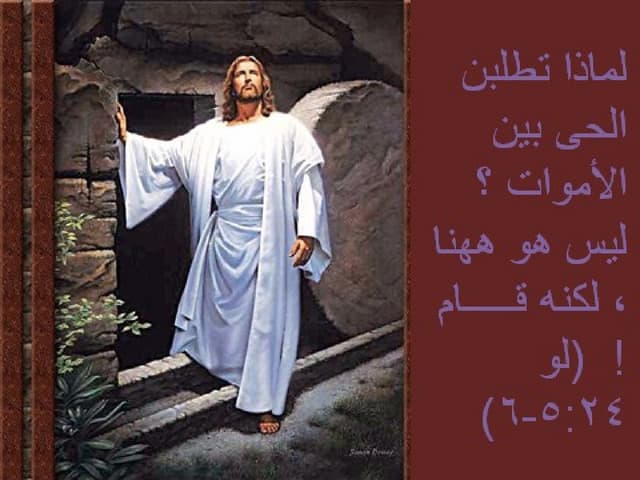 				اخرستوس آنستى