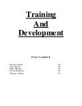 Dissertation report on training and development