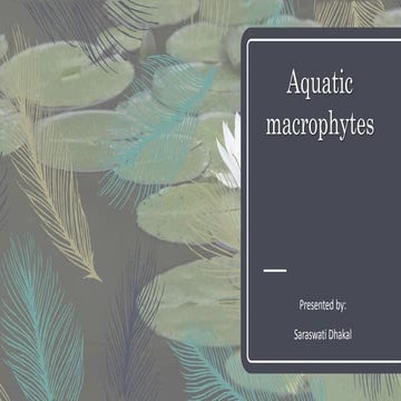 Aquatic macrophytes in pond