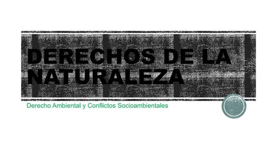 -158121338_Evolucion Derechos de la Naturaleza.pptx