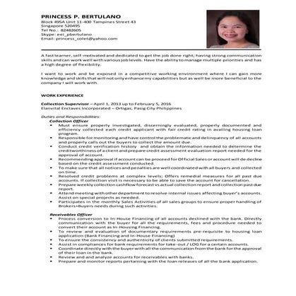 Princess Bertulano - Professional Resume