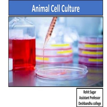 1587726190_Z(H)-VI-Biotechnology.pdf