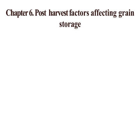1588295171-factors-affecting-grain-storage-pdf.pptx